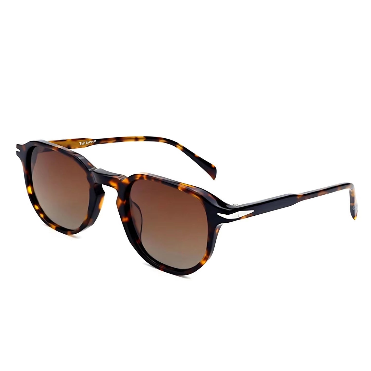 The Offshore Tortoise (C3) front