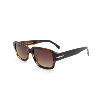 The Harbor Tortoise (C2) front
