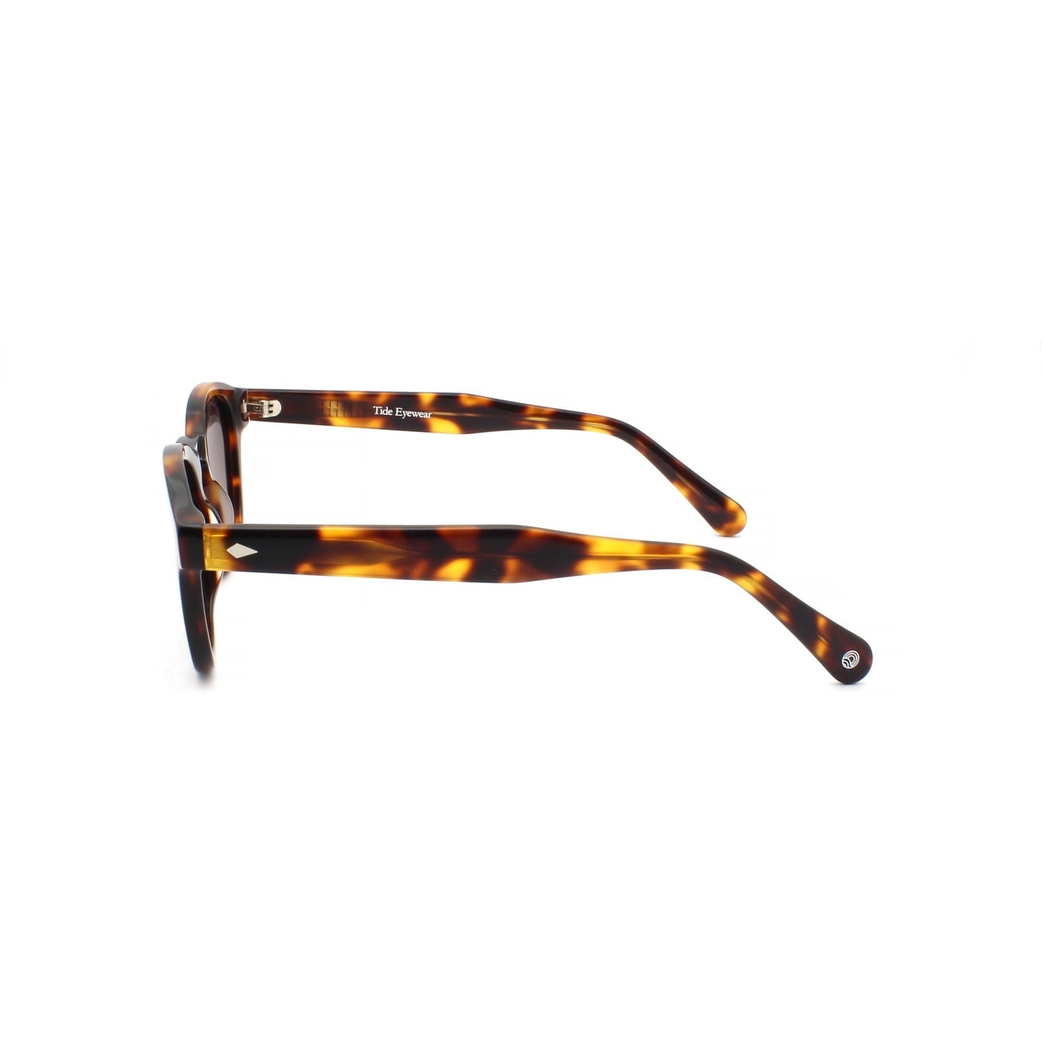 The Meridian Tortoise (C8) side