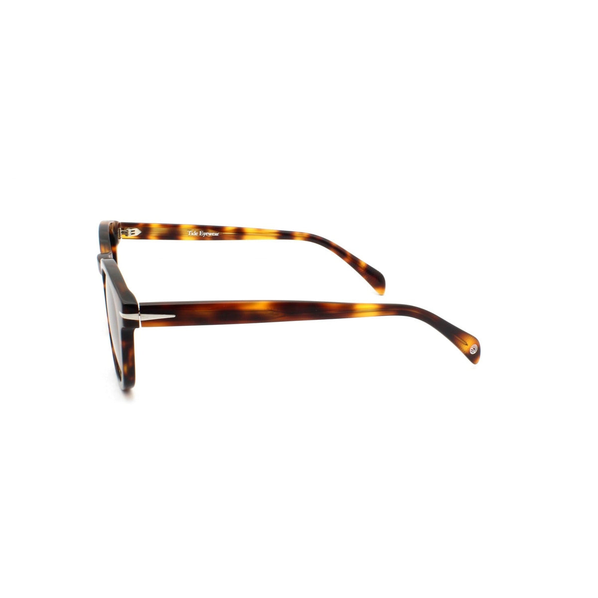 The Riviera Tortoise (C2) side